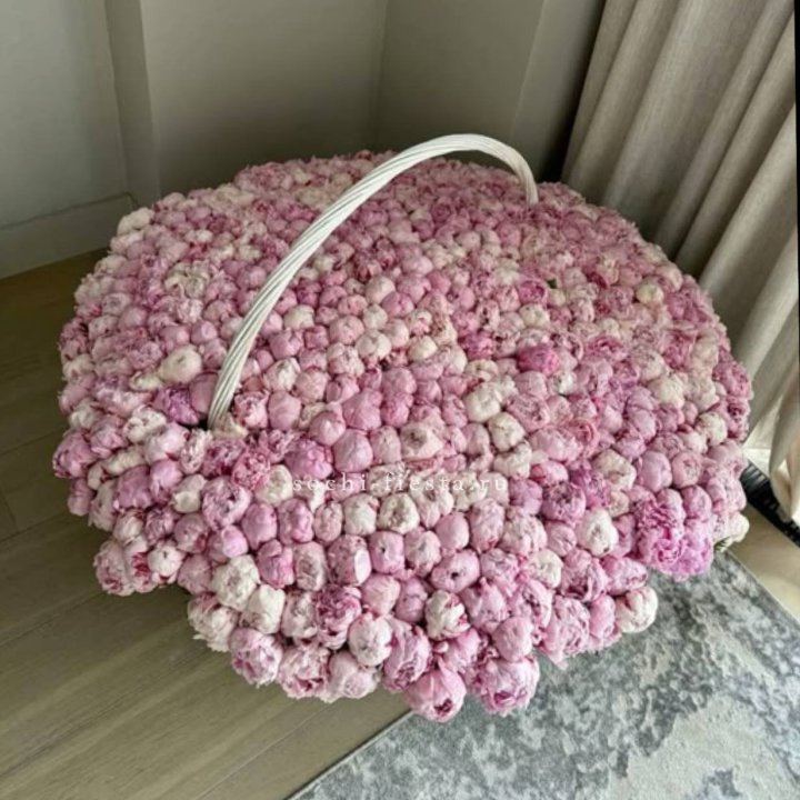 Корзина 555 пионов в Чебоксарах