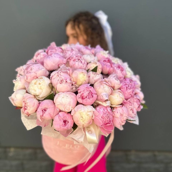 51 нежных пионов  в цилиндре в Чебоксарах