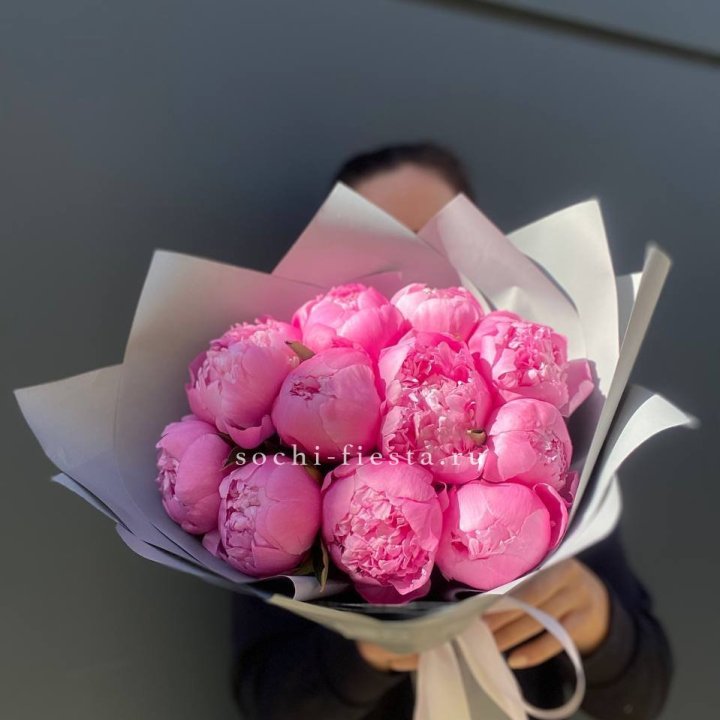 Пионы Алекс флеминг в Чебоксарах