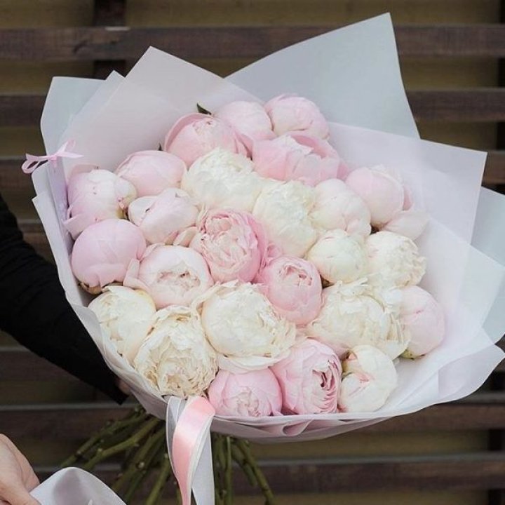 29 пионов в Чебоксарах