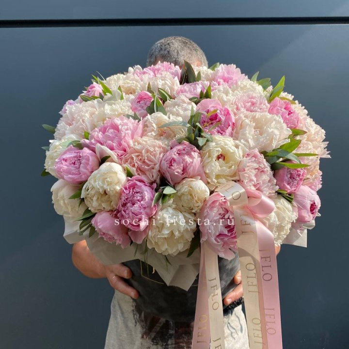 51 пионов в боксе в Чебоксарах