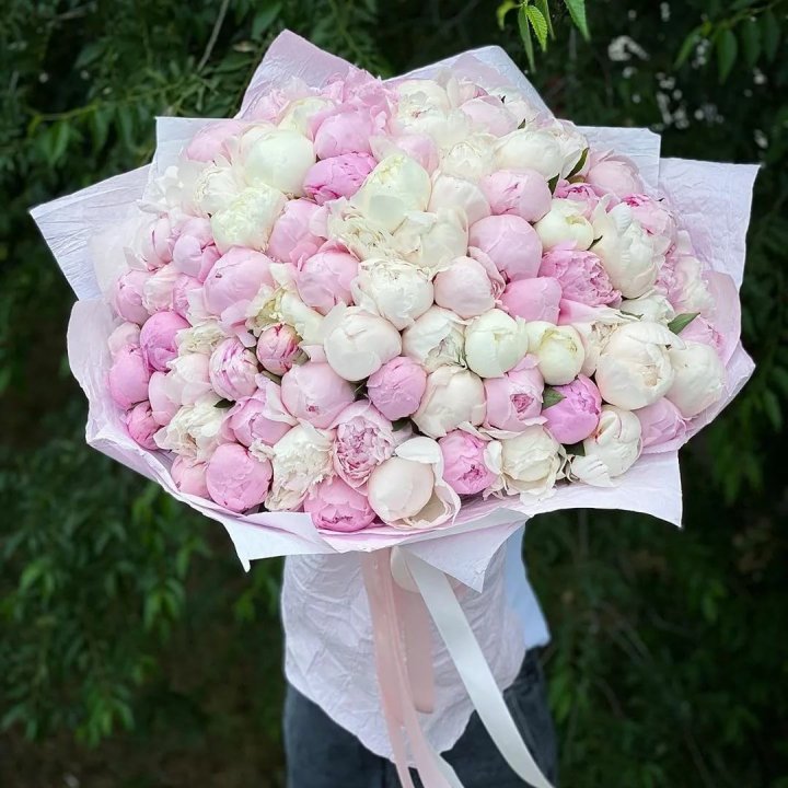 101 пион в Чебоксарах