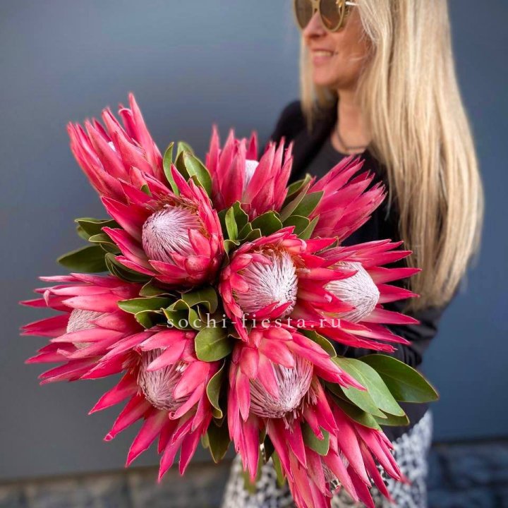 Протея штучно в Чебоксарах