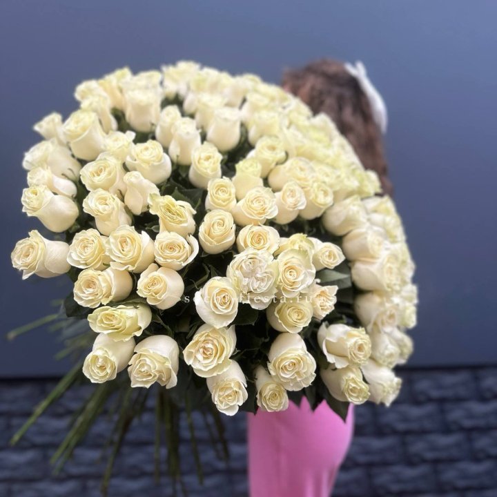 101 белая высокая импортная роза под ленту в Чебоксарах