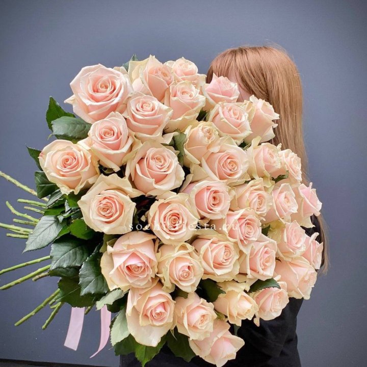 35 кремовых высоких роз в Чебоксарах