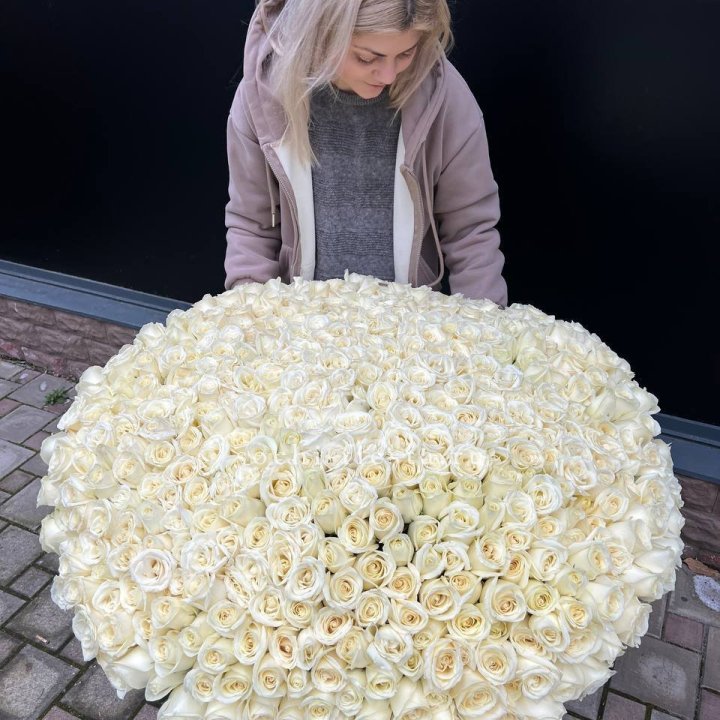 501 белая роза в корзине в Чебоксарах