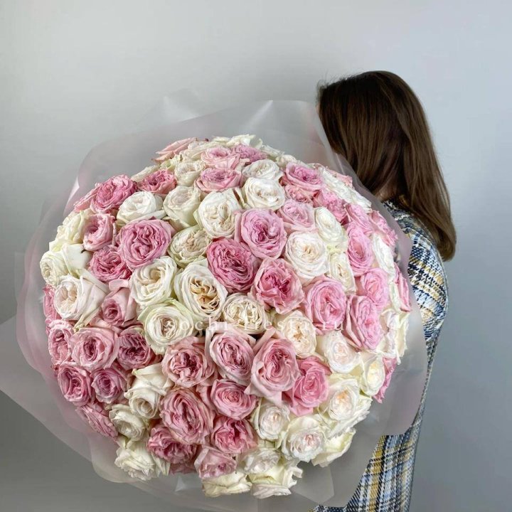 101 роз Охара в Чебоксарах