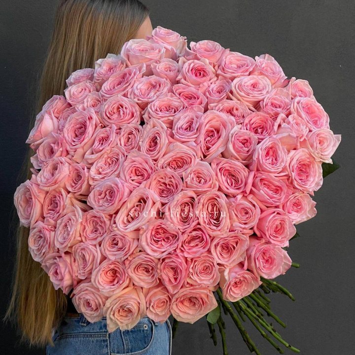 75 роз Охара в Чебоксарах