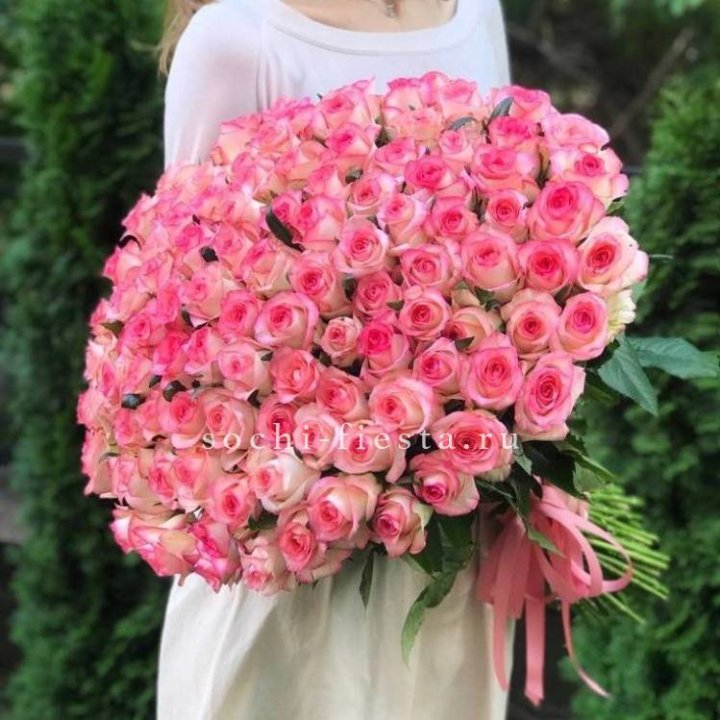 101  джумилия роза  в Чебоксарах