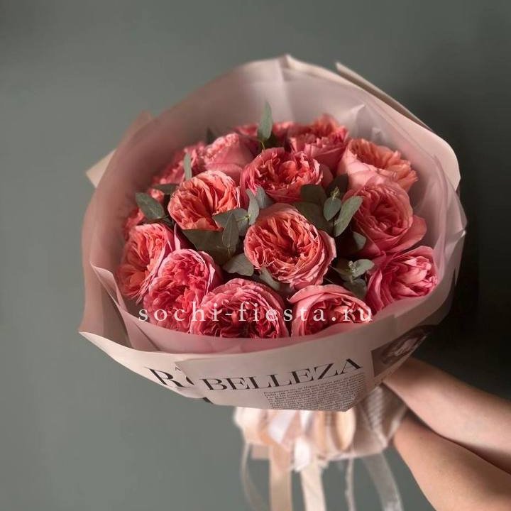 15 Пинк экспрешен в Чебоксарах