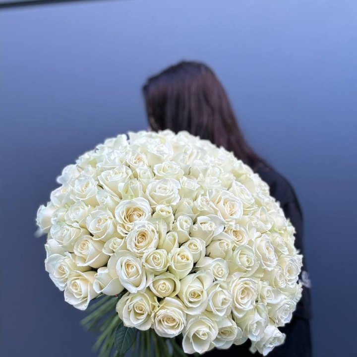 Охапка из 101 белой розы  в Чебоксарах