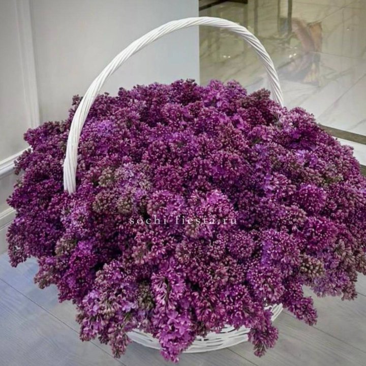 Корзина сирени в Чебоксарах