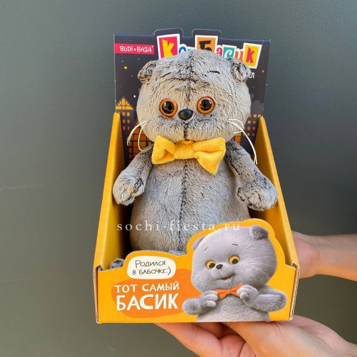 Кот Басик с бабочкой в Чебоксарах