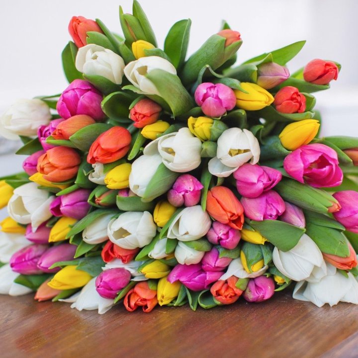79 тюльпанов "Рандом" в Чебоксарах