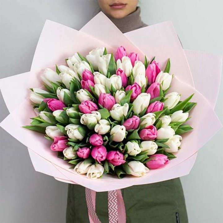 61 бело-розовый тюльпан в Чебоксарах