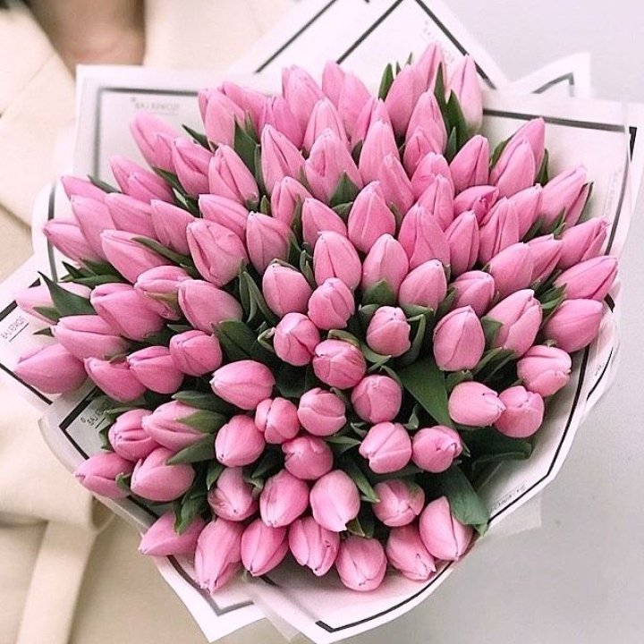 101 розовый тюльпан в белом в Чебоксарах