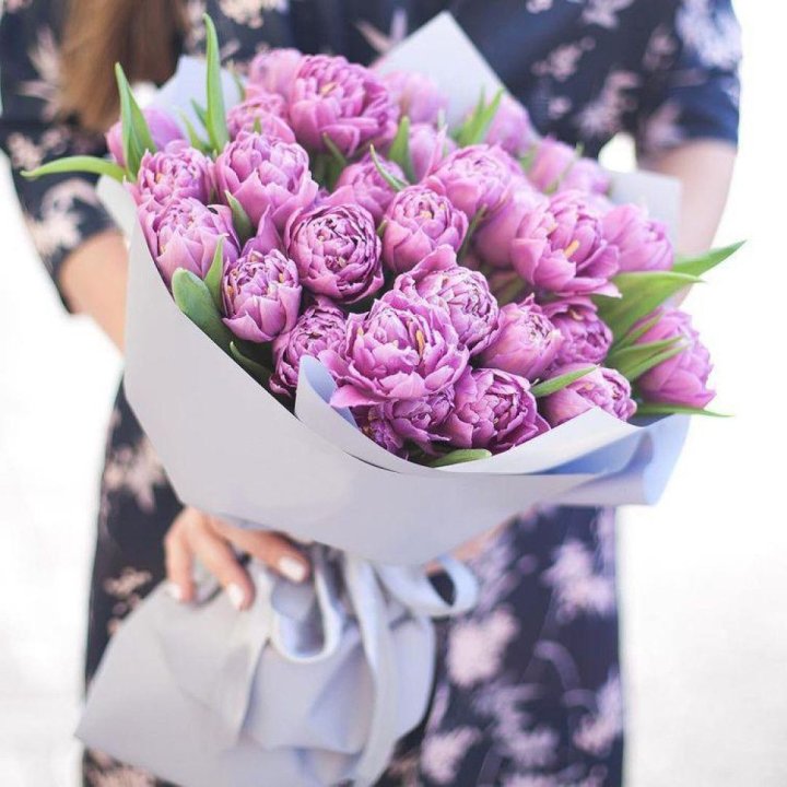 Тюльпаны "Пионс" в Чебоксарах