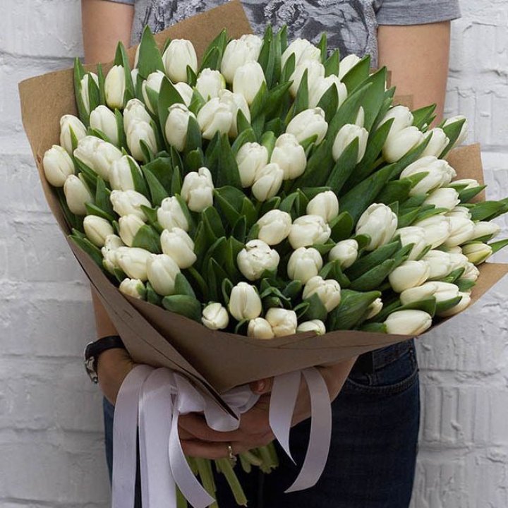 101 тюльпан сноу в Чебоксарах