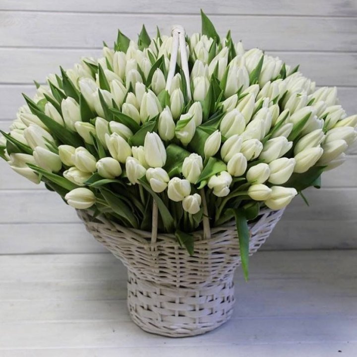 Корзина из 151 тюльпана в Чебоксарах