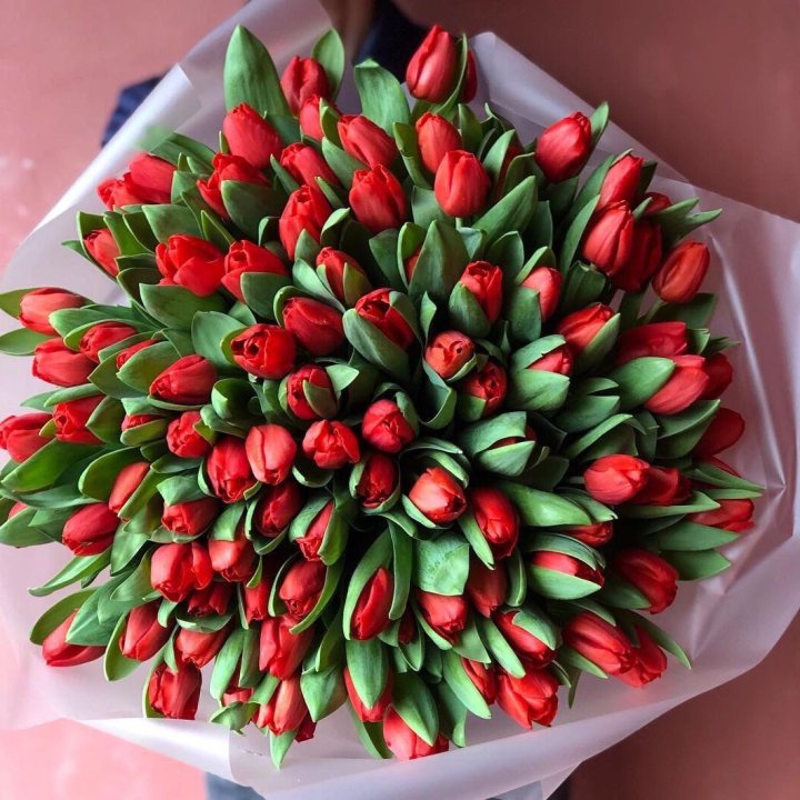 101 красный тюльпан в Чебоксарах